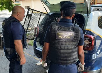 Mulher é presa após danificar banco na fonte do leãozinho em Poços de Caldas 