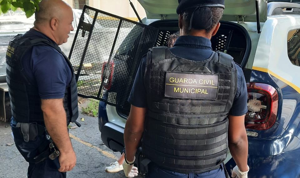 Mulher é presa após danificar banco na fonte do leãozinho em Poços de Caldas 