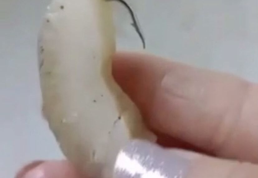 VÍDEO: idoso é preso em MG após dar pedaço de carne com anzol para cadela