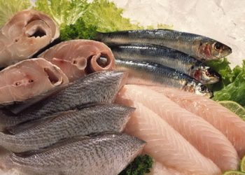 Procon Poços de Caldas divulga pesquisa de preço de peixes na quaresma