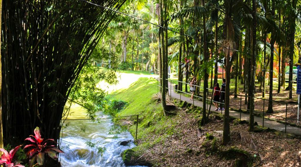 Citur irá administrar o turismo da Cascata das Antas em Poços de Caldas