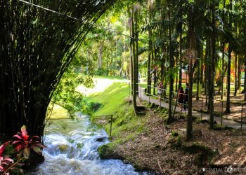 Citur irá administrar o turismo da Cascata das Antas em Poços de Caldas