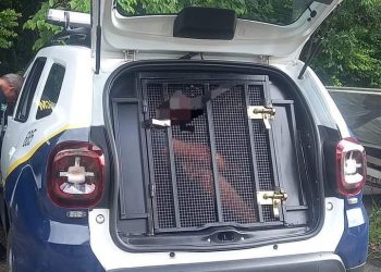 Homem é preso suspeito de desacatar médica e funcionários de PSF em Poços