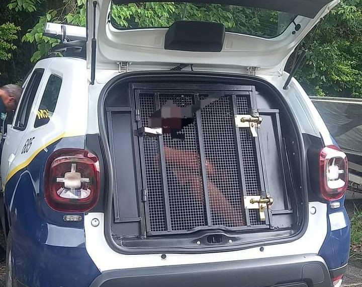 Homem é preso suspeito de desacatar médica e funcionários de PSF em Poços