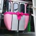 Nany People é homenageada com cabine rosa do teleférico em Poços