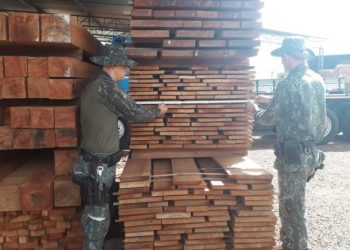 Madeireira é autuada em R$ 30 mil por venda irregular madeira nativa