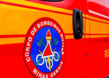 Homem é atacado por abelhas enquanto realizava limpeza de lote vago em Poços de Caldas