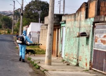 Saúde confirma 80 casos de dengue em Poços de Caldas