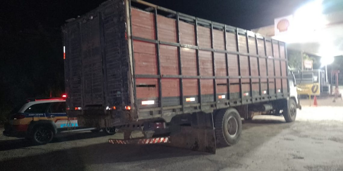 Polícia Militar recupera gado furtado de fazenda