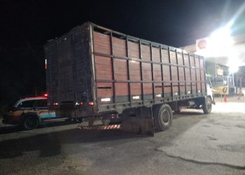Polícia Militar recupera gado furtado de fazenda