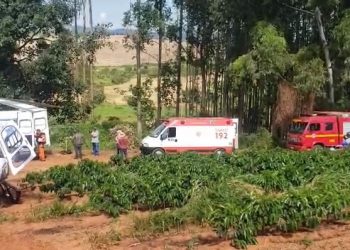 Trabalhador fica ferido após ser atingido na cabeça por eucalipto em Campestre