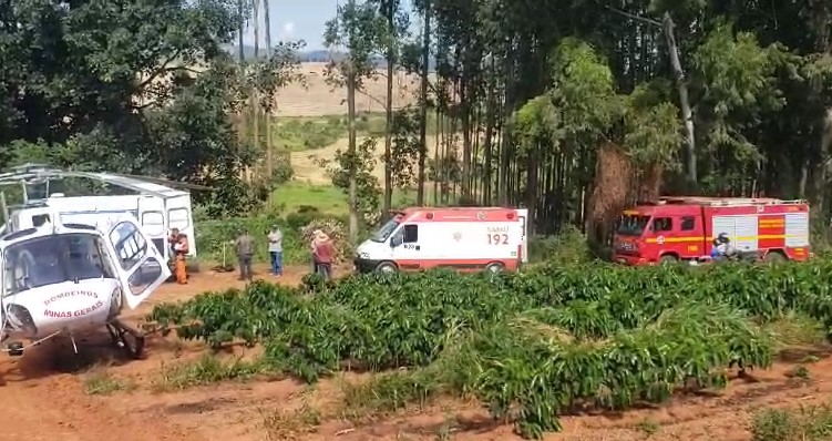Trabalhador fica ferido após ser atingido na cabeça por eucalipto em Campestre