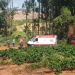 Trabalhador fica ferido após ser atingido na cabeça por eucalipto em Campestre