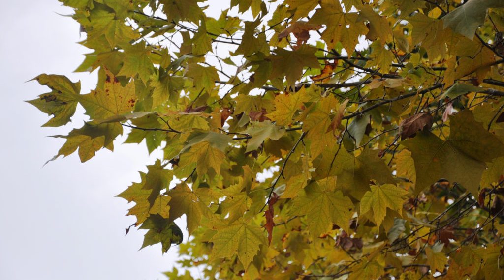 Climatempo alerta para queda brusca de temperatura na sexta em Poços