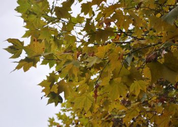Climatempo alerta para queda brusca de temperatura na sexta em Poços