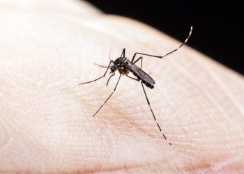 Andradas registra 3ª morte com suspeita de dengue