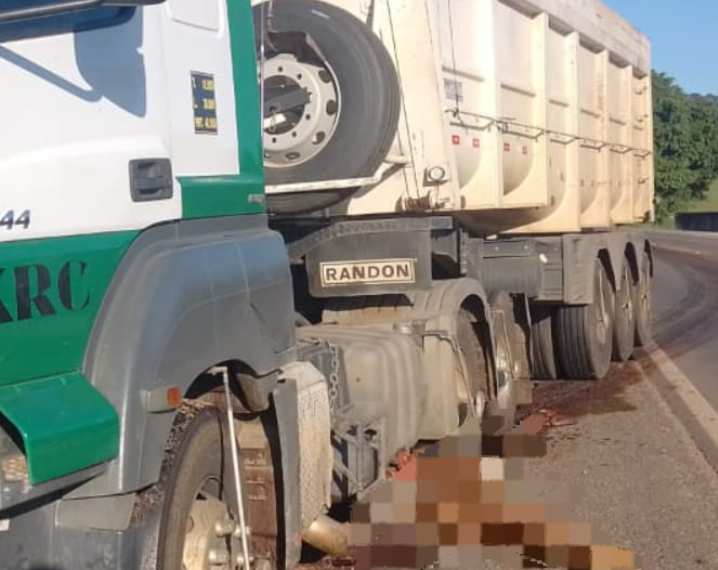 Cavalo morre após ser atropelado por carreta em Campestre