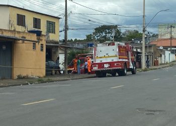 Ataque de abelhas mata um cachorro e deixa três pessoas feridas em Poços de Caldas