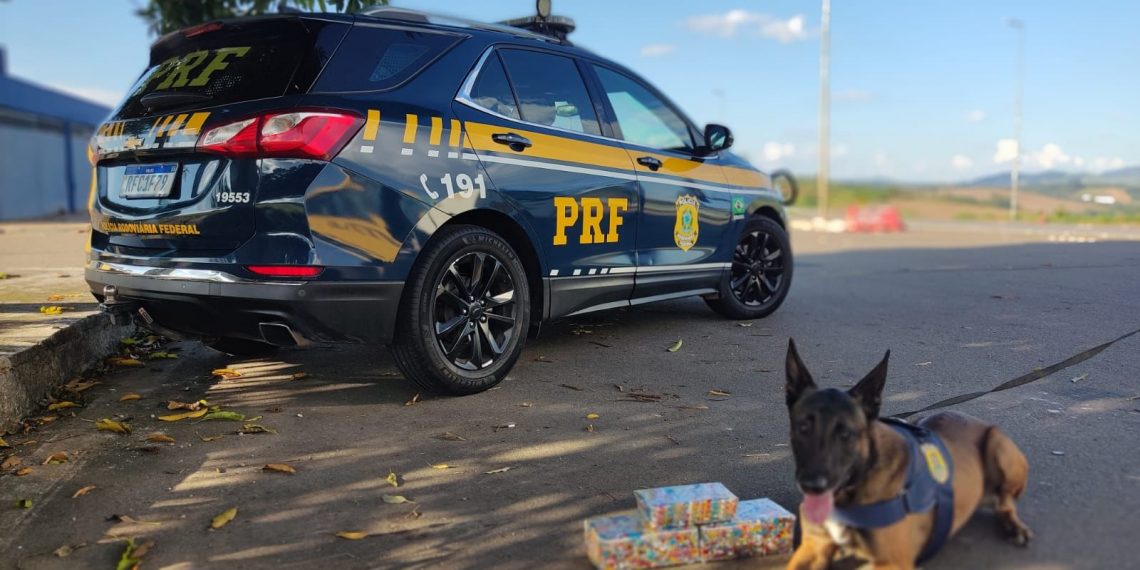 VÍDEO: Cão farejador encontra 5kg de cocaína em bagagem no Sul de Minas