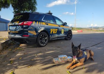 VÍDEO: Cão farejador encontra 5kg de cocaína em bagagem no Sul de Minas