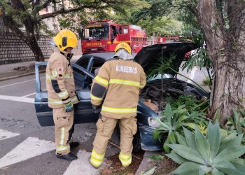 Carro bate em árvore e pega fogo no centro de Poços de Caldas