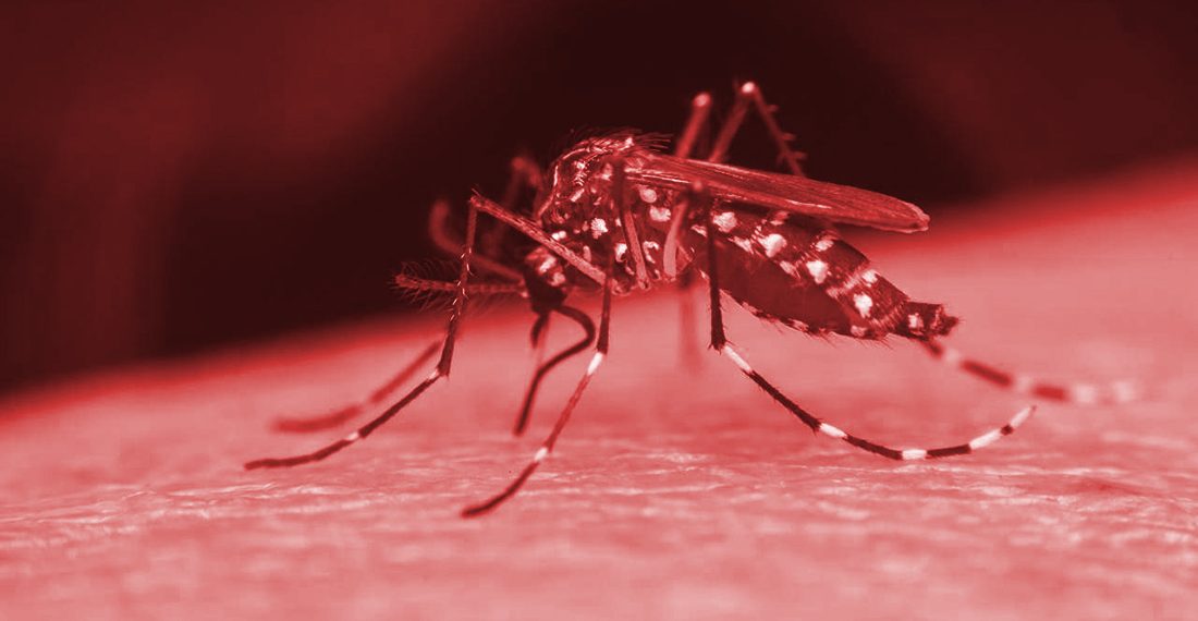 Poços de Caldas contabiliza 150 casos confirmados de dengue