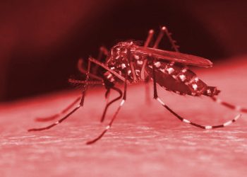 Poços de Caldas contabiliza 150 casos confirmados de dengue