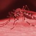 Poços de Caldas contabiliza 150 casos confirmados de dengue