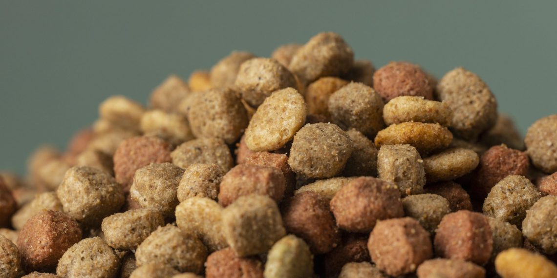 Cine Marquise Ultravisão: Doe um quilo de ração nos pets parceiros e ganhe meia entrada para Uma Prova de Coragem