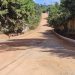 Bairro Morada dos Pássaros receberá asfaltamento em Poços de Caldas