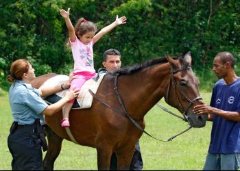 Equoterapia poderá ser oferecida pelo SUS