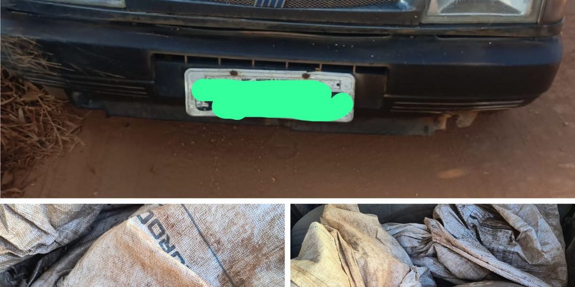 Suspeitos são presos após furtarem grãos de café direto do pé no Sul de Minas