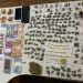 Adolescente é apreendido com 186 buchas de maconha e 44 pedras de crack