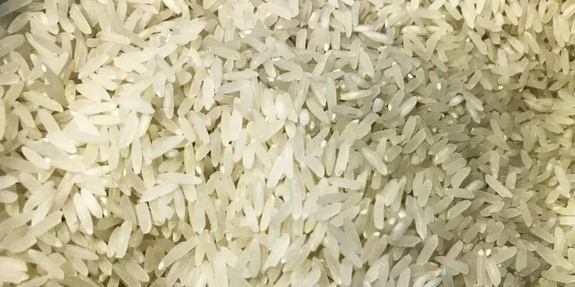 Governo e agro garantem que não faltará arroz no Brasil