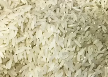 Governo e agro garantem que não faltará arroz no Brasil