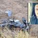 Família procura carteira e documentos de jovem que morreu em acidente de moto