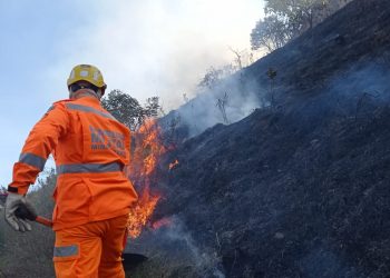 Incêndio destrói 14 hectares de vegetação em bairro de Poços de Caldas