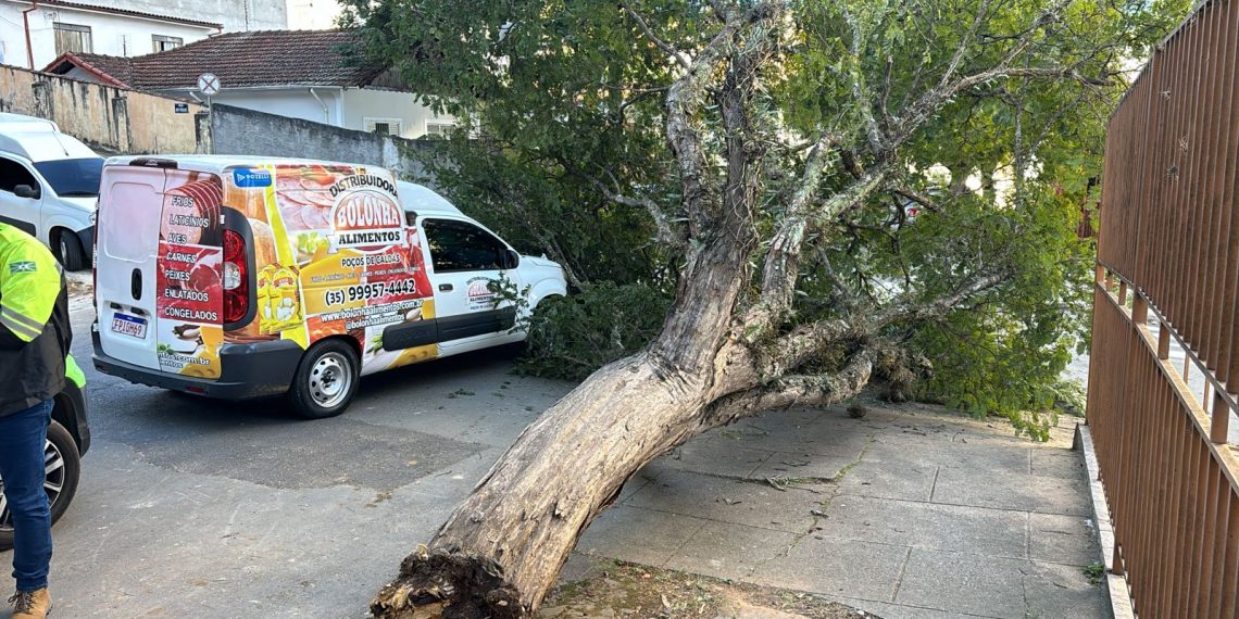 Árvore cai sobre veículo em Poços de Caldas