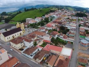 Santa Rita de Caldas confirma febre amarela em macaco encontrado morto