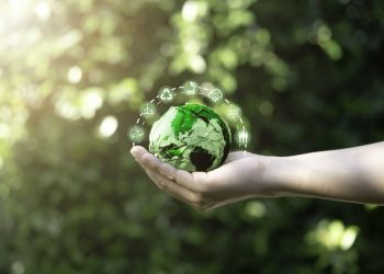 SELO VERDE: Governo cria incentivo para empresas sustentáveis