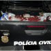 Polícia Civil recupera grande quantidade de defensivos agrícolas
