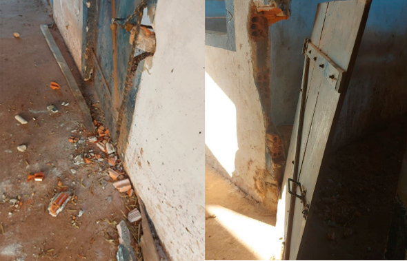 Suspeito de manter relações sexuais com éguas é preso no Sul de Minas