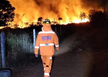 Incêndio consome mais de 10 mil metros quadrados de vegetação no sul de Minas