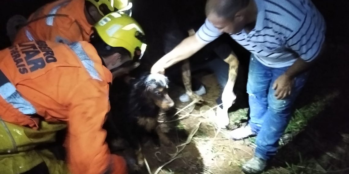 Cachorro é resgatado após cair em poço de 5 metros no Sul de Minas