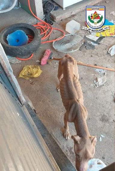 Homem é preso por tráfico de drogas e maus tratos no sul de Minas