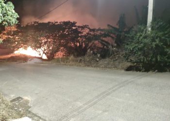 Incêndio consome 1.500 metros quadrados de vegetação em Andradas
