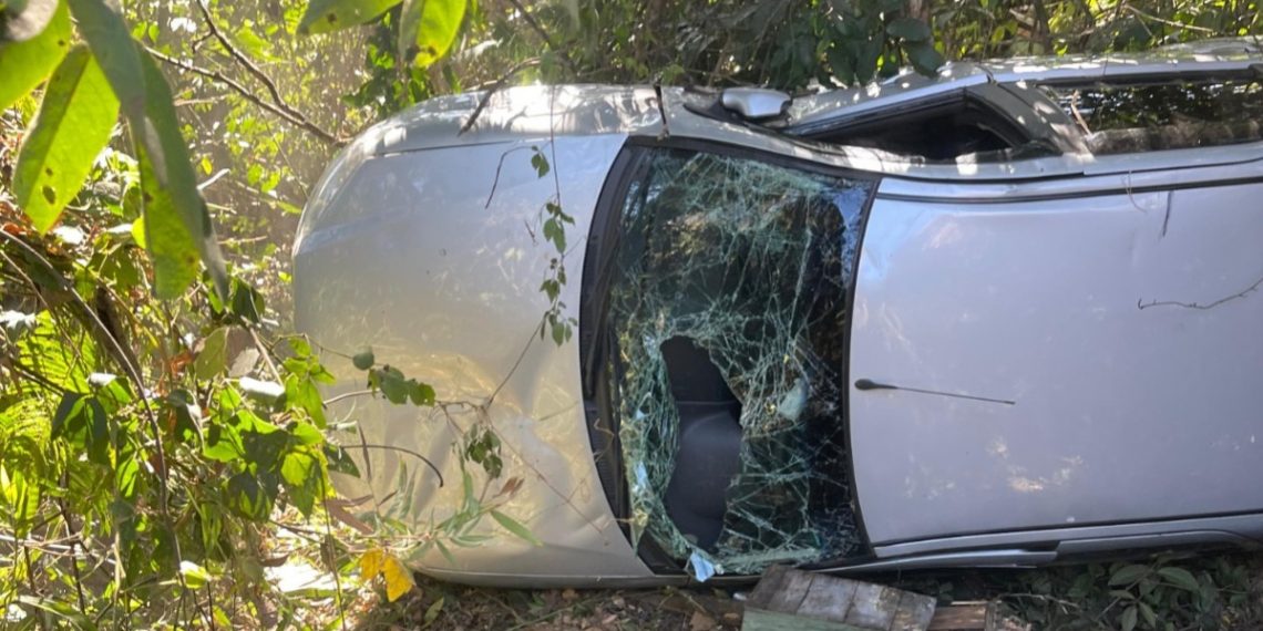 Jovem sofre acidente de carro e é atacada por enxame de abelhas