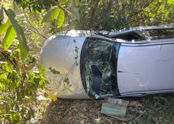 Jovem sofre acidente de carro e é atacada por enxame de abelhas