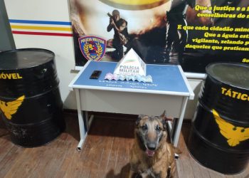 PM apreende 34 pedras de crack