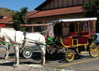 Prefeito anuncia cancelamento de alvarás de charretes em Poços de Caldas